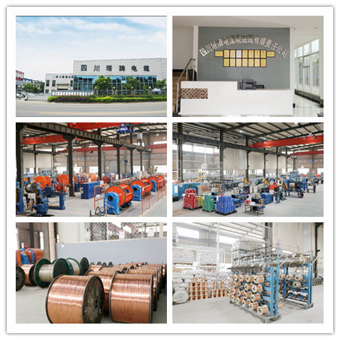 82载岁月如歌——四川塔牌电缆人，奋斗者的姿态永远向前